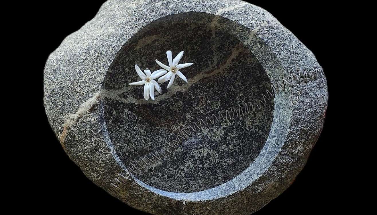 Jean-Paul Forest : « une pierre est une entité »